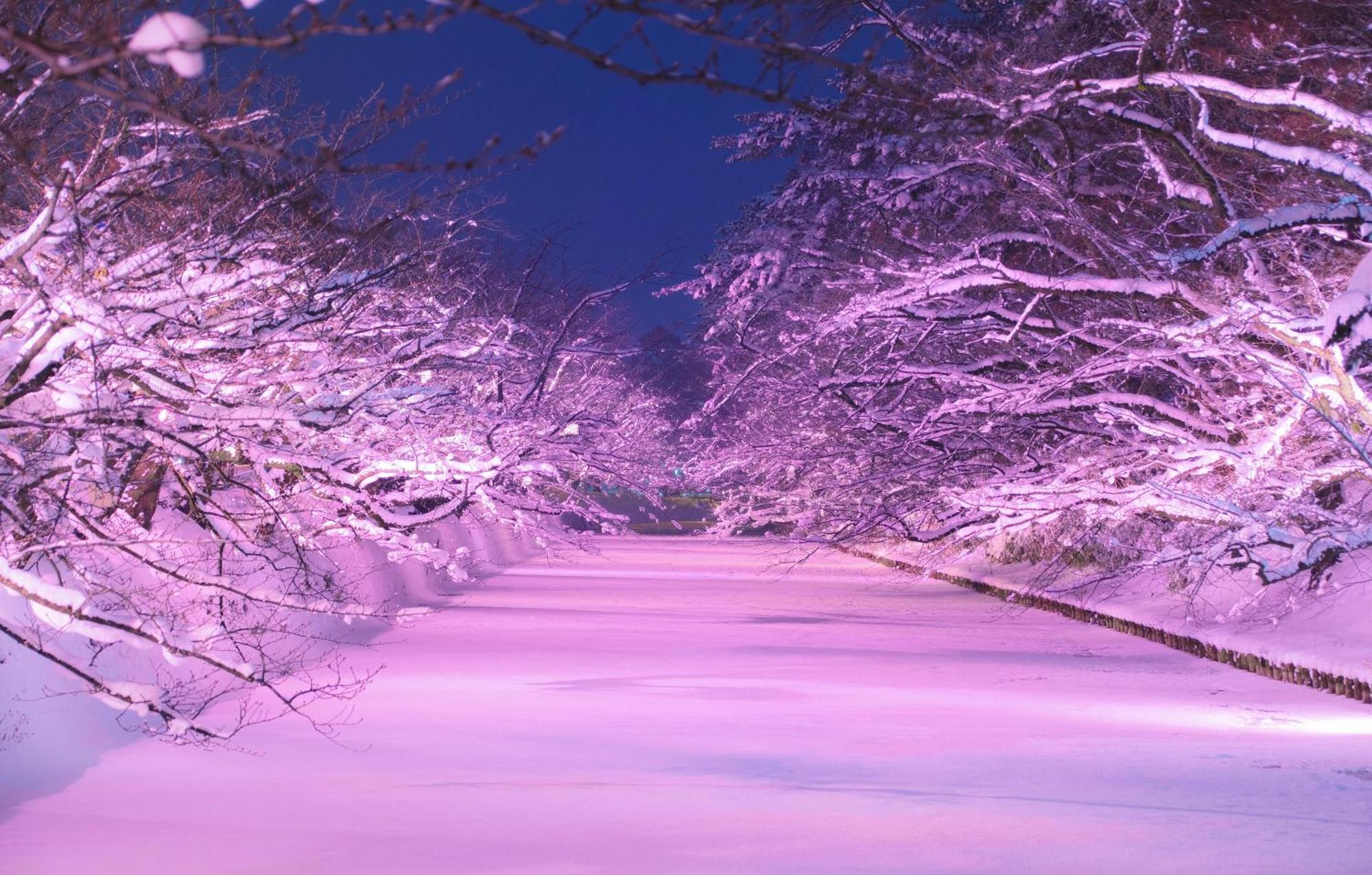 Hirosaki Park Hotel Aomori Bagian luar foto